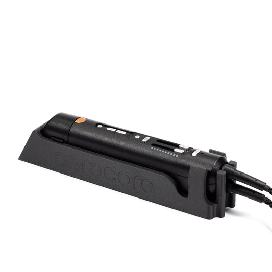 Lightspeed Delta Zulu Bedienelement Halter